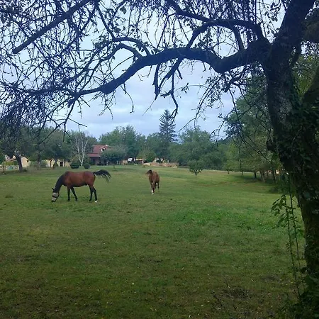 Pech Cujoul 度假居 屈埃尔西地区古尔东