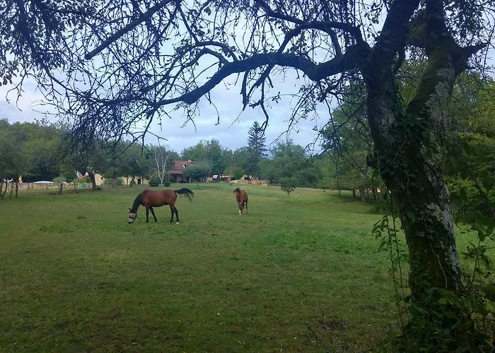 Pech Cujoul Nyaraló Gourdon-en-quercy